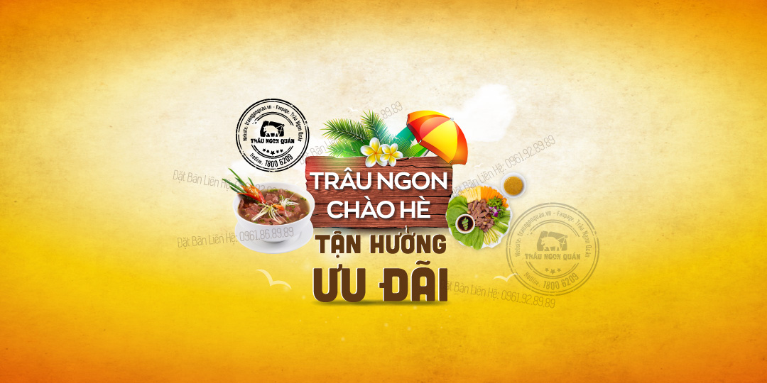 🌞🌞🌞𝐓𝐫𝐚̂𝐮 𝐍𝐠𝐨𝐧 𝐂𝐡𝐚̀𝐨 𝐇𝐞̀ - 𝐓𝐚̣̂𝐧 𝐇𝐮̛𝐨̛̉𝐧𝐠 𝐔̛𝐮 Đ𝐚̃𝐢.